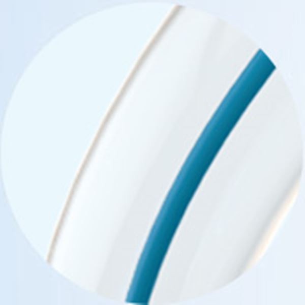 Paclitaxel Coated-PTCA Balloon Catheter  (2)