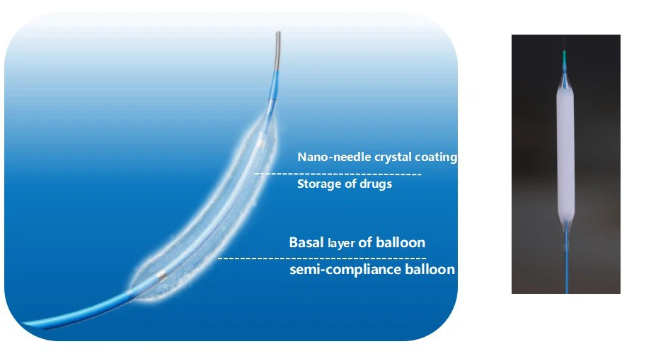 PACLITAXEL ELUTING PTCA BALLOON CATHETER