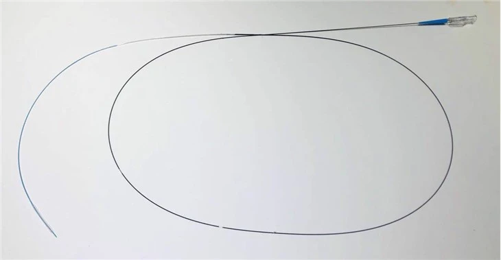 PTCA Dilation Balloon Catheter
